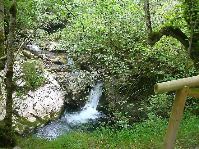 DSCN3759 DSCN3759