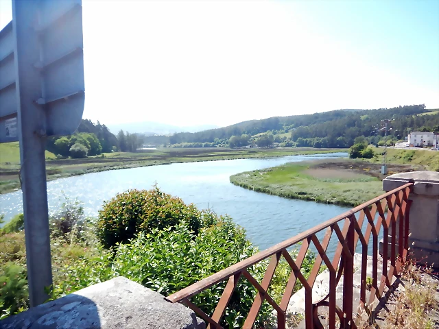 DSCN6587 DSCN6587