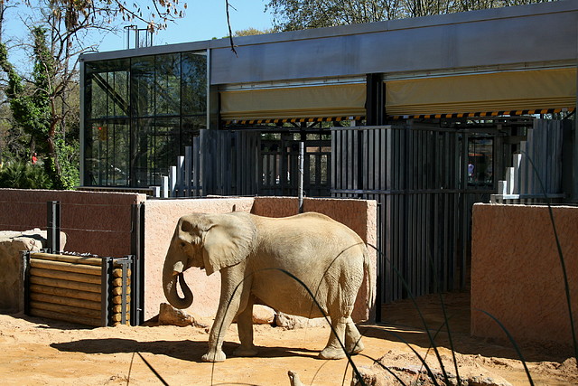 Zoo de Barcelona 03-04-11 030 Zoo de Barcelona 03-04-11 030