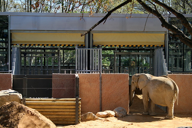 Zoo de Barcelona 03-04-11 028 Zoo de Barcelona 03-04-11 028