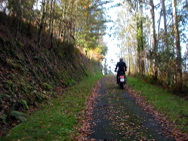 DSCN9229 DSCN9229