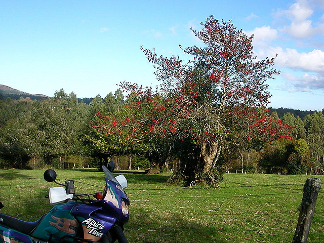 DSCN9231 DSCN9231