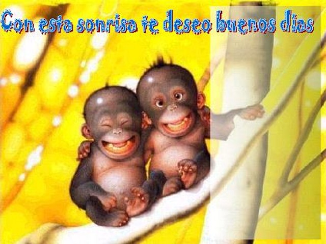 con esta sonrisa te deseo buenos dias con esta sonrisa te deseo buenos dias