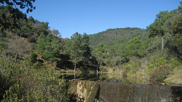 PALANCO. ELCHORTAL.    ENE.2011 (16)