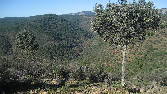 PALANCO. ELCHORTAL.    ENE.2011 (12)