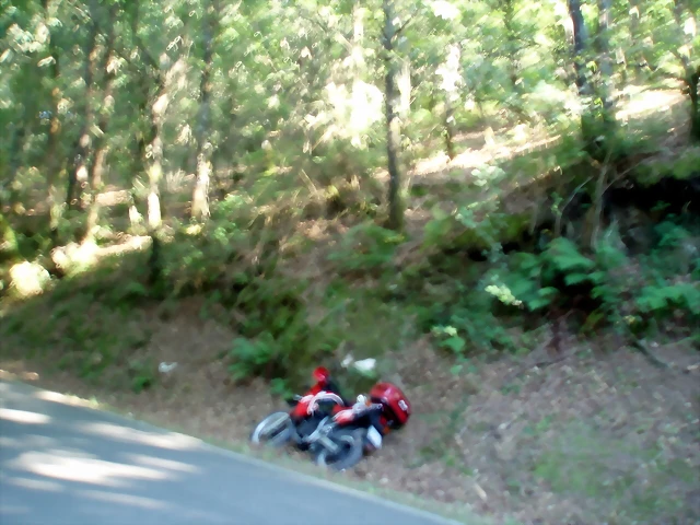 P1010150 P1010150