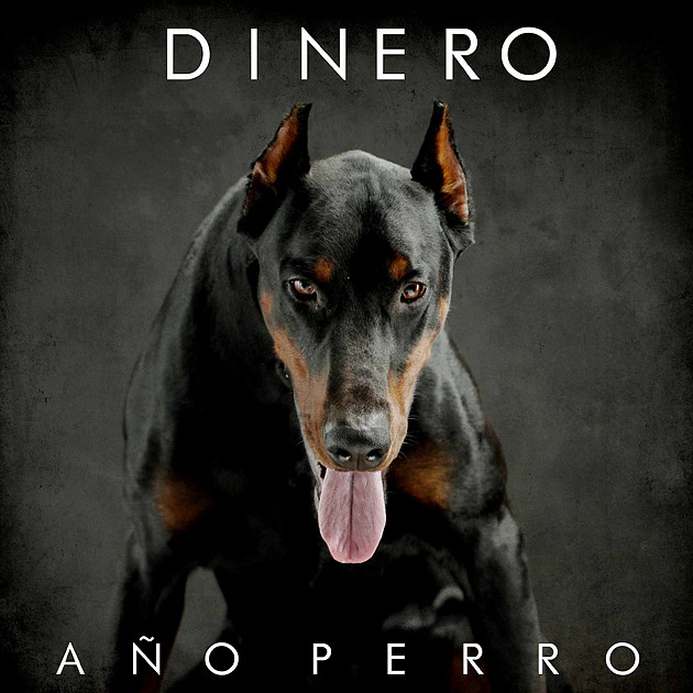 dinero-a?o-perro