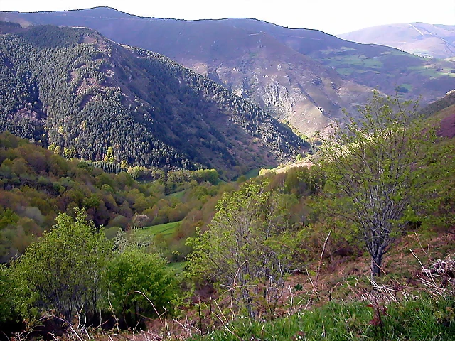 DSCN9047 DSCN9047