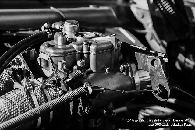 DSC_0109 DSC_0109