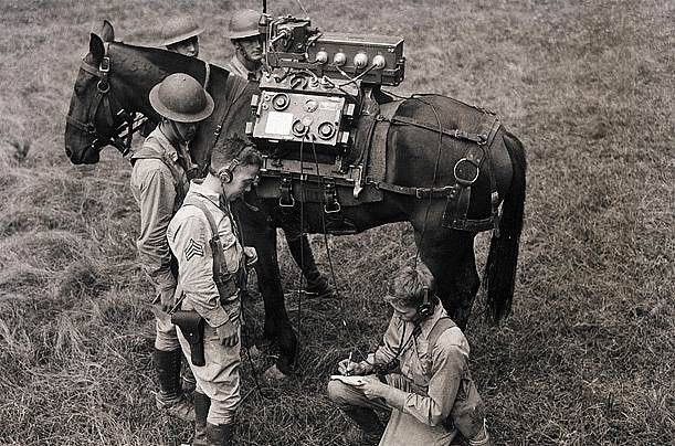 Caballo de comunicaciones del ejrcito USA en la WWII