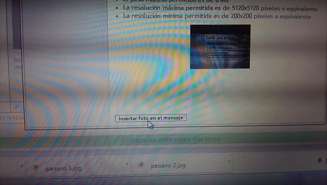 IMAG1564 IMAG1564