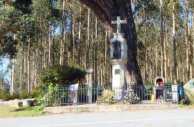 DSCN0091 DSCN0091