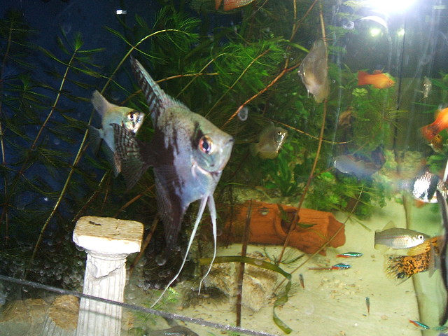 DSCF1598 DSCF1598