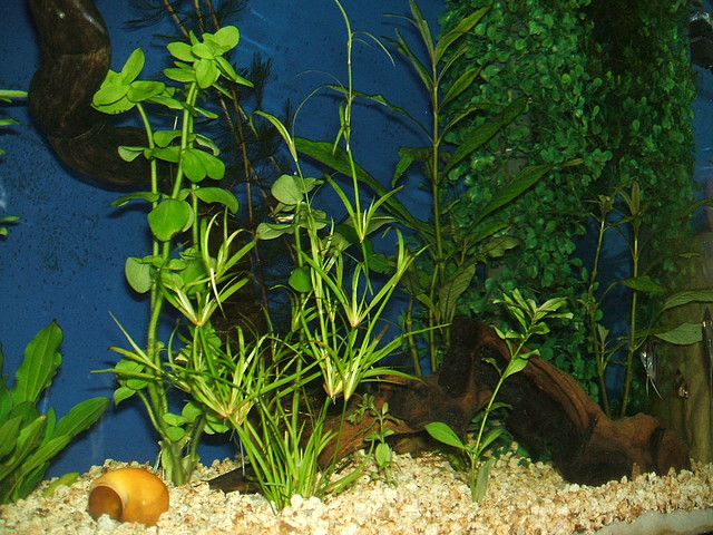DSCF1570 DSCF1570