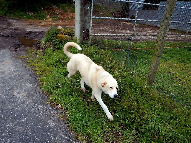 DSCN2978 DSCN2978