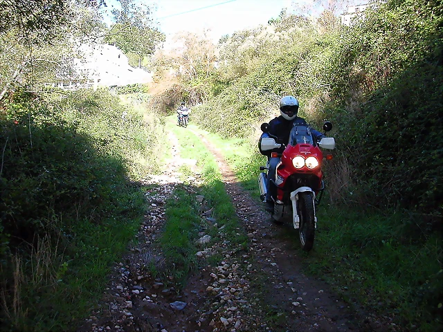 DSCN5521 DSCN5521