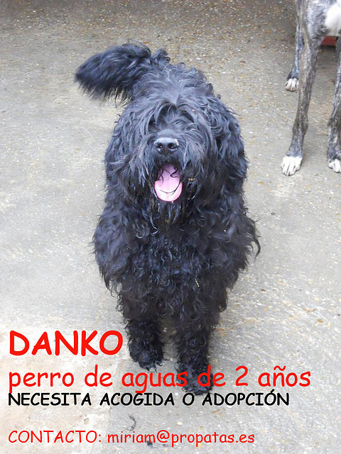 DANKO Valladolid