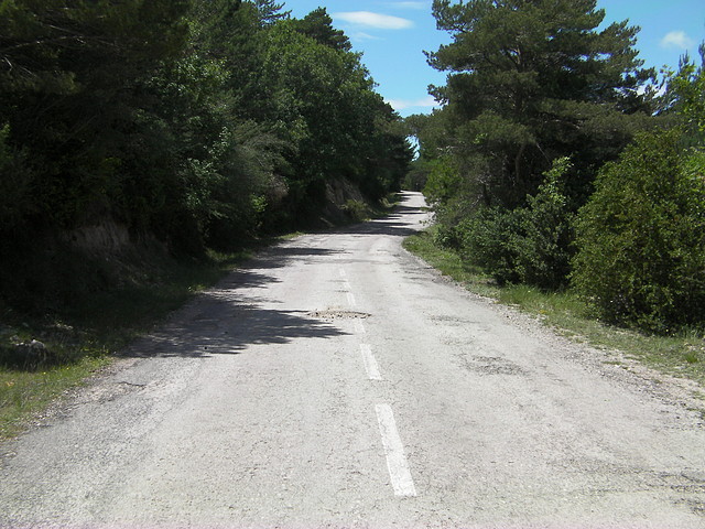SANY0668 SANY0668