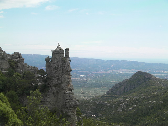 SANY0658 SANY0658