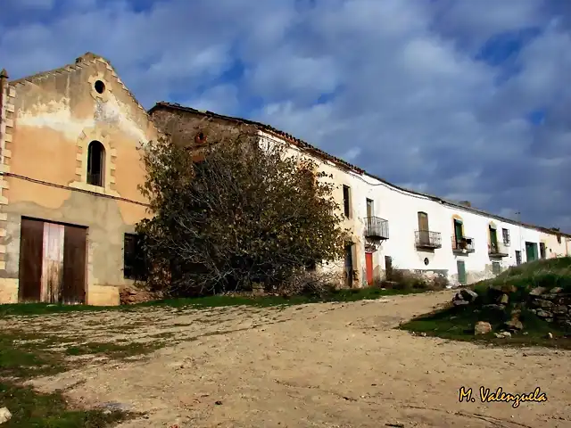 003, cetrina el viejo, marca