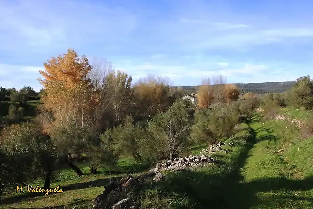 011, por el arroyo de olvera, marca