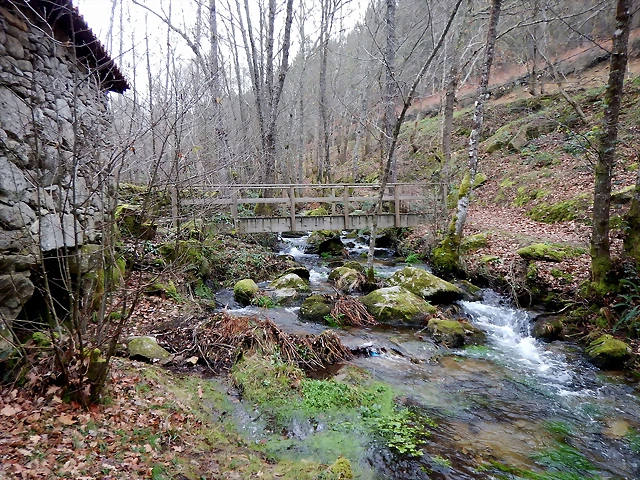 DSCN0135 DSCN0135