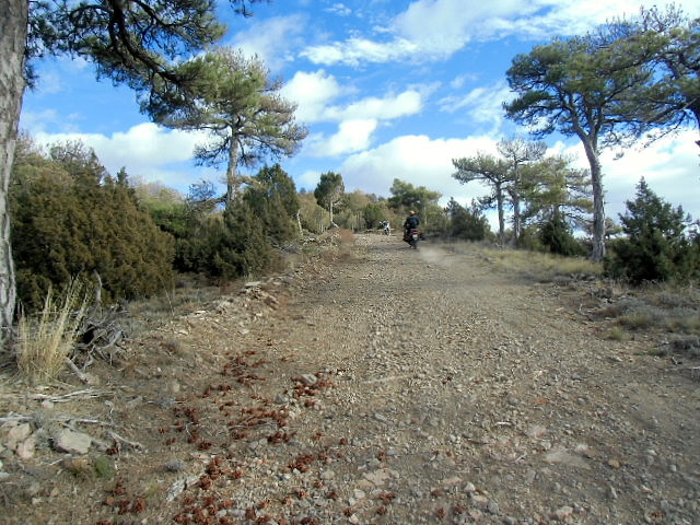 CIMG0705 CIMG0705