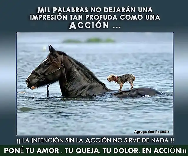 Solidaridad y amor desinteresado...