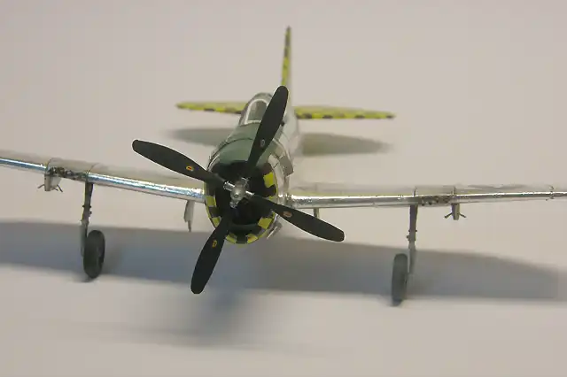 P 47 republic (11)