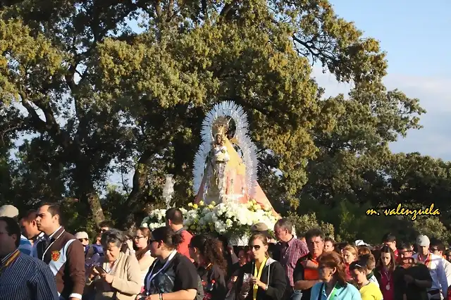 024, la virgen, marca