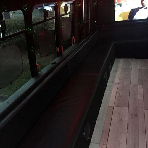 Party Bus For Atlanta | Saltixrider Bus | 18 Passengers