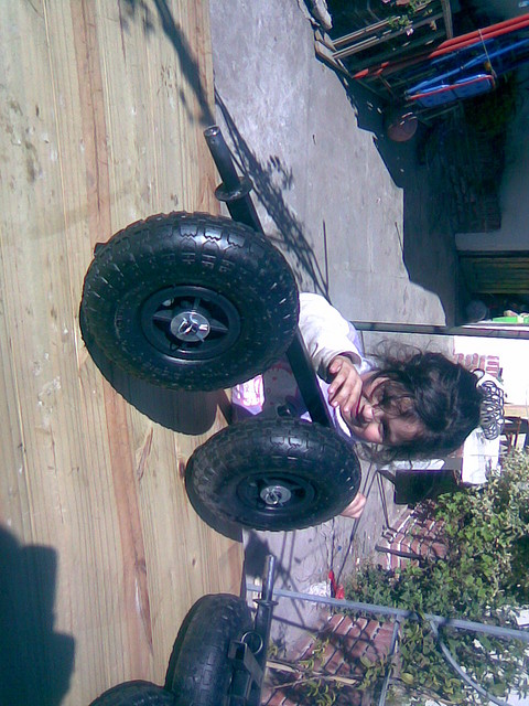 carrito 02