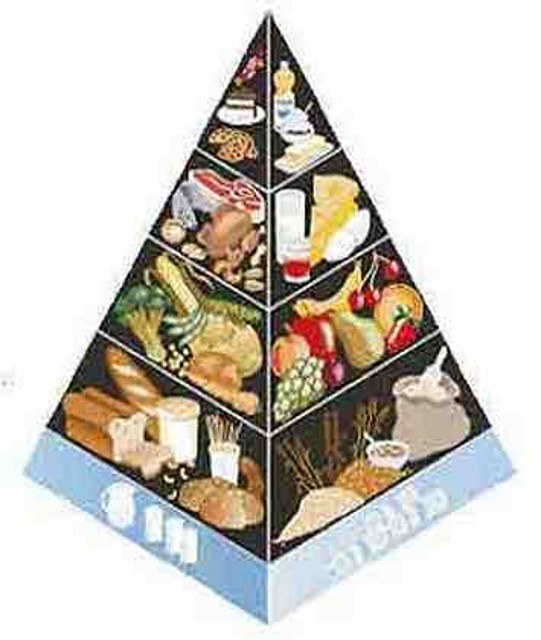 alimentos alimentos