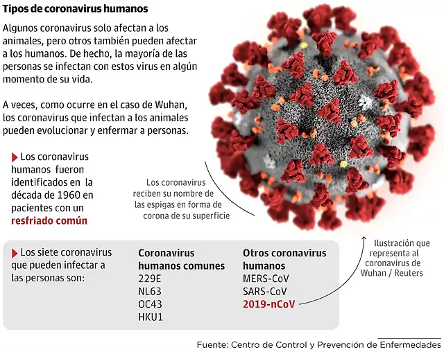 TipoCoronavirus2020-1