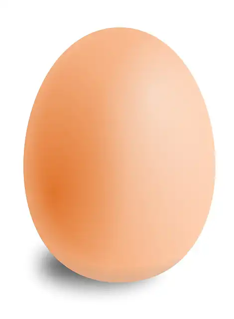 Eggs02