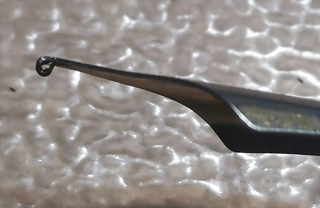 NIB 2 NIB 2