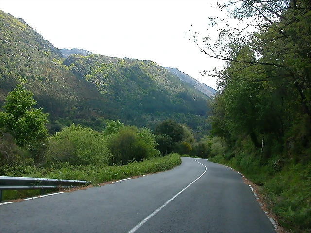 DSCN2399 DSCN2399