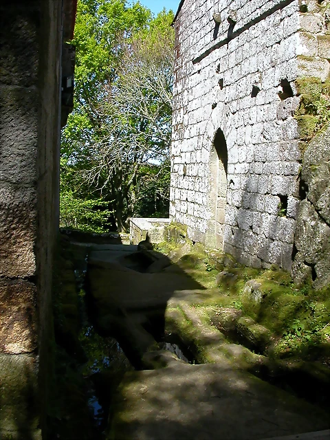 DSCN2287 DSCN2287