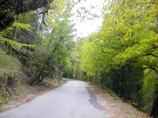 DSCN2431 DSCN2431