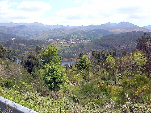 DSCN2366 DSCN2366