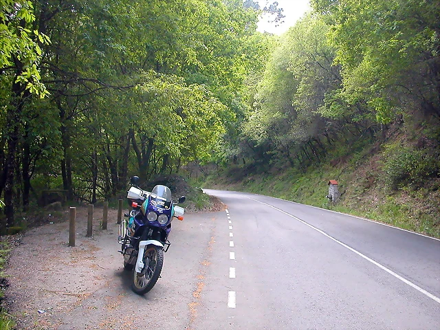DSCN2403 DSCN2403