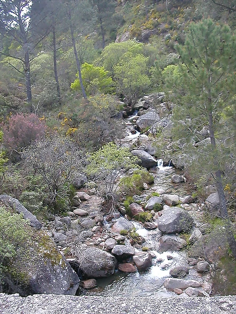 DSCN2415