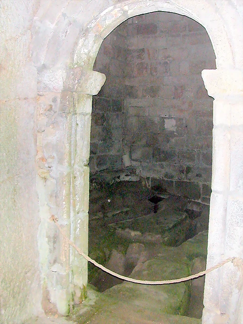 DSCN2296 DSCN2296