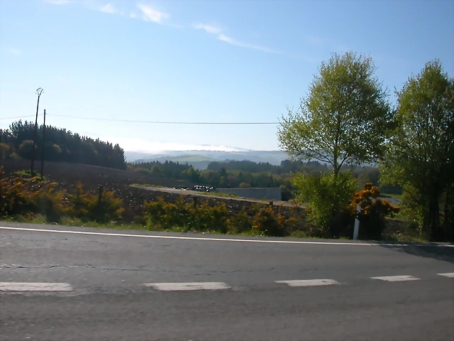 DSCN2265 DSCN2265