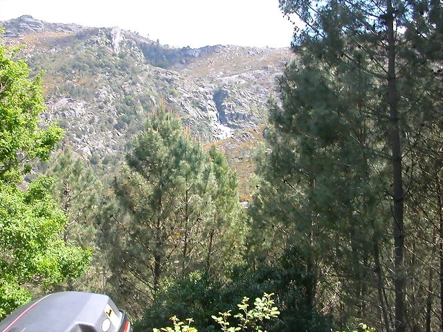 DSCN2396 DSCN2396