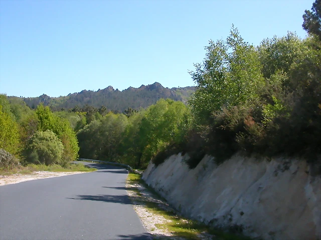 DSCN2284 DSCN2284