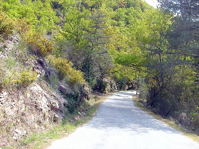 DSCN2429 DSCN2429