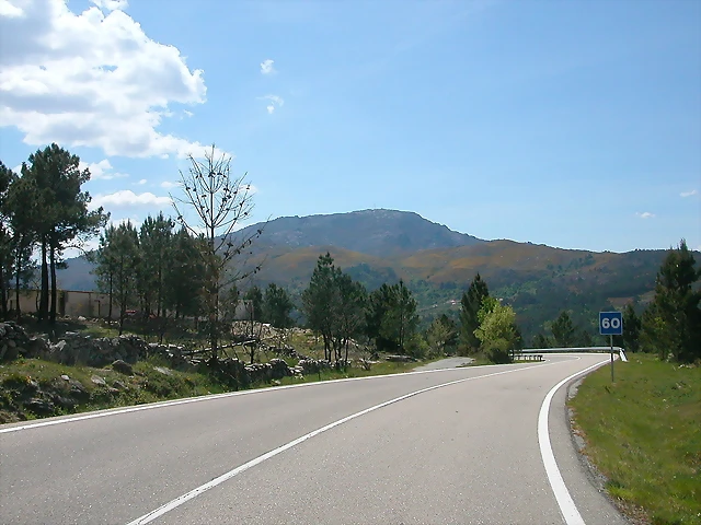 DSCN2379