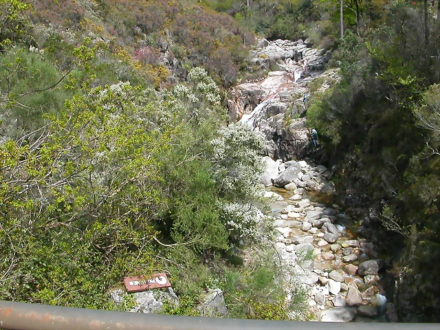 DSCN2428 DSCN2428