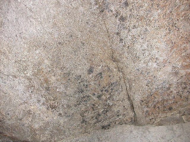 DSCN2298 DSCN2298